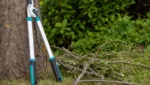 Astschere fuer Einsteiger: Empfehlenswerte Modelle einfach auswaehlen