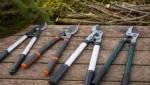 Astschere kaufen: Die beste für jeden Garten