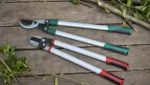 Bypass- oder Amboss-Astschere: Welche Bauart passt zu Ihrem Garten?