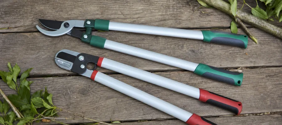 Bypass- oder Amboss-Astschere: Welche Bauart passt zu Ihrem Garten?