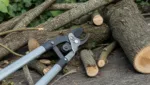 Die groessten Aeste, die Astscheren bewaeltigen: Spannende Schneidrekorde im Garten
