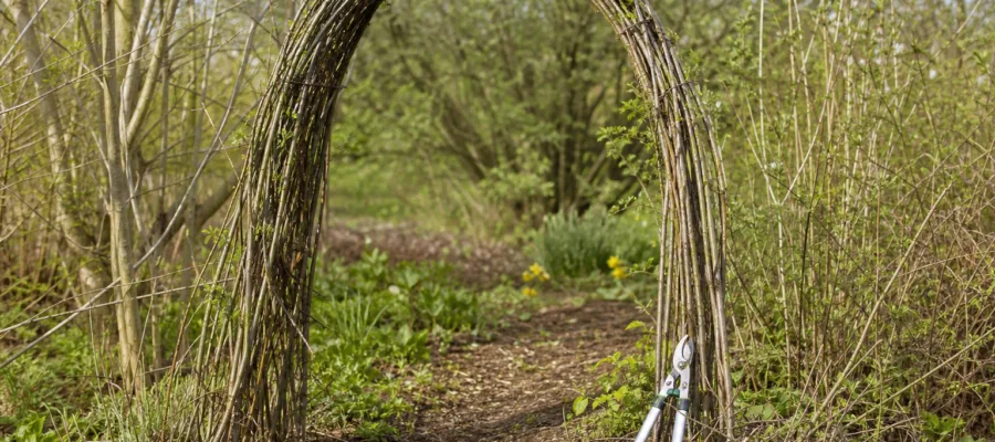 Gartenbogen aus Zweigen bauen mit der Astschere