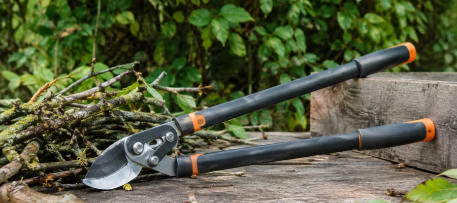 Natur- und Outdoor-DIY-Projekte mit der Astschere