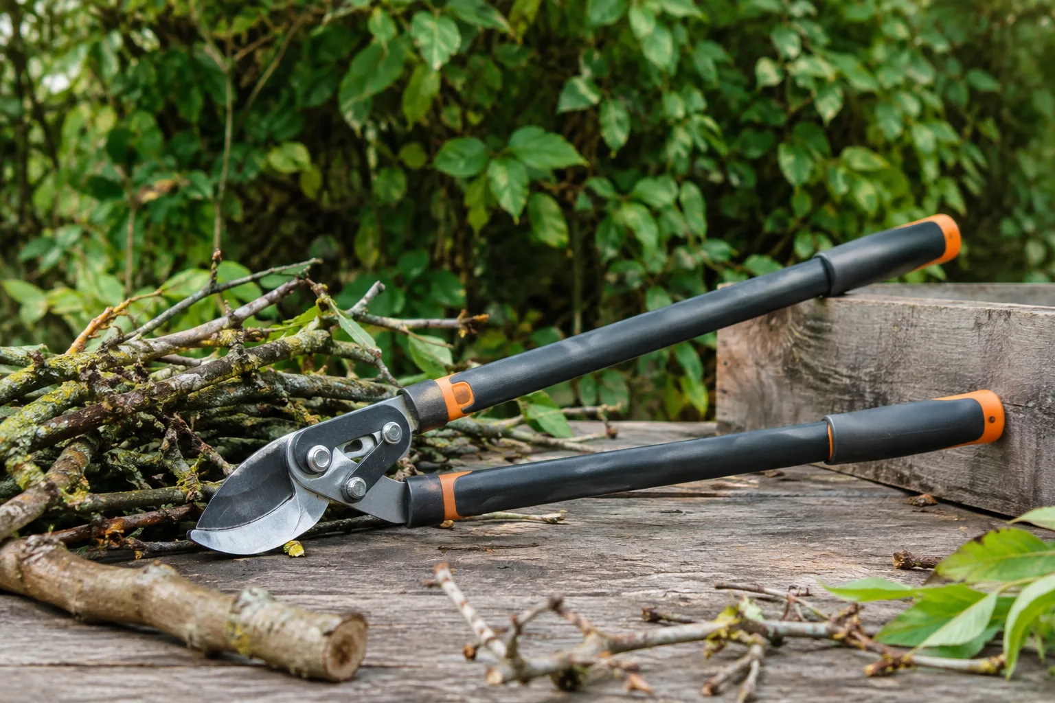 Natur- und Outdoor-DIY-Projekte mit der Astschere
