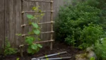 Rankhilfe aus Aesten bauen mit der Astschere